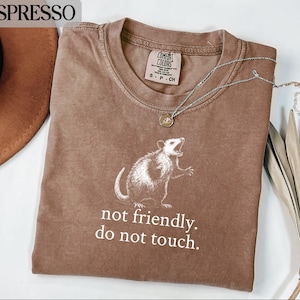 May include: Espresso-coloured t-shirt featuring a white opossum graphic and the text "not friendly. do not touch." A silver necklace with a pendant is on the shirt. A brown hat and dried leaves are in the background.