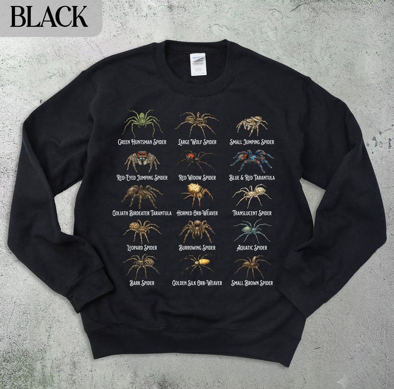Spider Species Sweatshirt, Unique Insect Lover Gift, Graphic Spider Hoodie, Nature Enthusiast Clothing, Spider Lover Apparel, Halloween