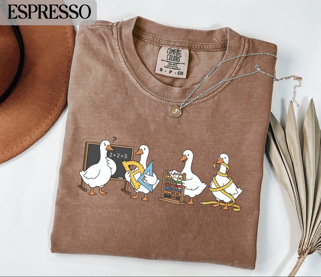 School Teacher Geese T-shirts, Math Goose Tees, Comfort Colors®, Gift ...