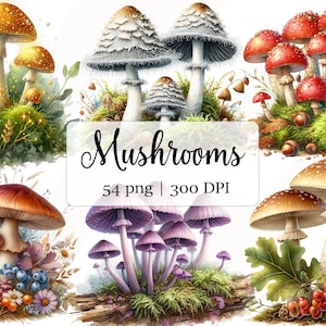 Bundle de cliparts champignons aquarelle, ensemble de scrapbooking Nature forêt, champignons forestiers PNG, motifs Sublimation Nature, téléchargement numérique
