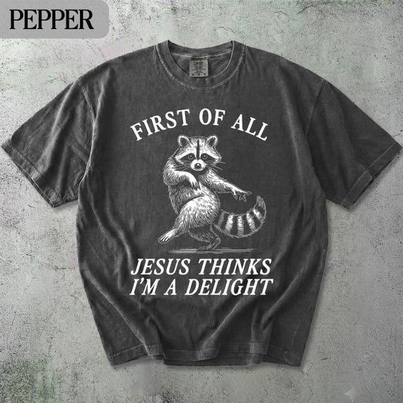 Comfort Colors® Raccoon T-shirt Sweatshirt: First Of All Jesus Thinks I'm A Delight
