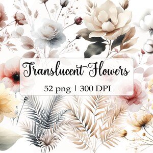 Paquete de imágenes prediseñadas de flores abstractas, acuarela, gráficos florales, diseño de sublimación de flores secas, descarga digital, manualidades de papel, revistas basura