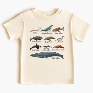 May include: Cream-colored t-shirt featuring illustrations of various whale species, including Beluga, Humpback, and Blue Whale. Each whale is labeled with its name in a clear, easy-to-read font. The shirt is made of soft fabric.