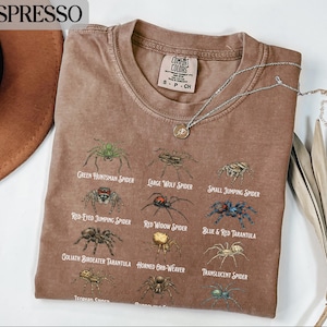 Spider Species Shirt, Spider Identification Graphic Tee, Nature Lover Shirt, Insect Enthusiast Gift, Spider Types T-Shirt, Unique Design