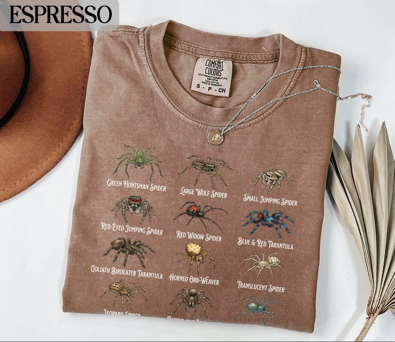Spider Species Shirt, Spider Identification Graphic Tee, Nature Lover Shirt, Insect Enthusiast Gift, Spider Types T-Shirt, Unique Design