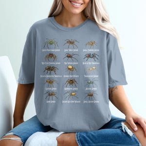 Spider Print Shirt, Spider Lover Gift, Educational Spider Tee, Arachnid Illustration Top, Unisex Graphic T-Shirt, Nature Enthusiast Tee