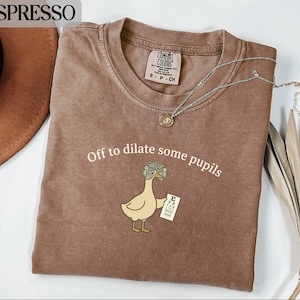 Optometry T-Shirt, Comfort Colors®, Ophthalmology Goose Sweatshirt, Eye Doctor Optician Shirt