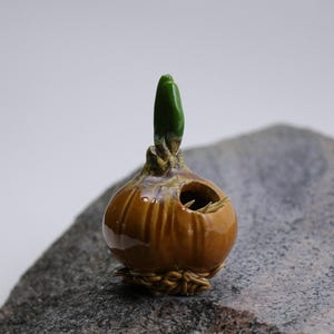 May include: A small ceramic onion with a green sprout growing from the top. The onion is brown and has a textured surface. It is sitting on a grey rock.