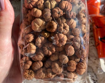 Vagens de abóbora secas, miniabóboras, material para artesanato