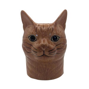 May include: A ceramic vessel shaped like the head of an orange tabby cat. The piece features a glossy brown and tan finish, pointed ears, dark eyes, and detailed whiskers etched into the surface, creating a realistic feline facial expression.
