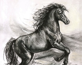 Original horse charcoal drawing-original illustration-original horse-horse decor-'Unbridled'