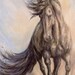 see more listings in the Horse giclee Prints section