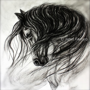 Horse Wall Art-Horse Decor of &quot;Mane Dance&quot; giclee print
