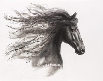 SOLD-Original Charcoal Drawing-Horse Drawing-'Forward Thinking'