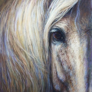Horse Art Print of soulful eye on canvas or paper of &#39;Aramis&#39;