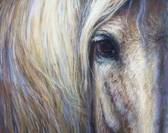 Horse Art Print of soulful eye on canvas or paper of 'Aramis'