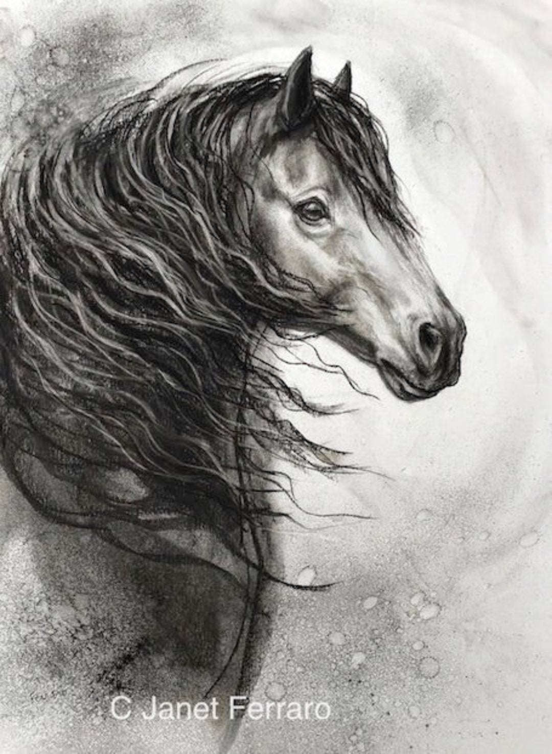 Simple Horse Charcoal Drawing by Felicity Deverell  Horse drawings Black  cat painting Charcoal drawing