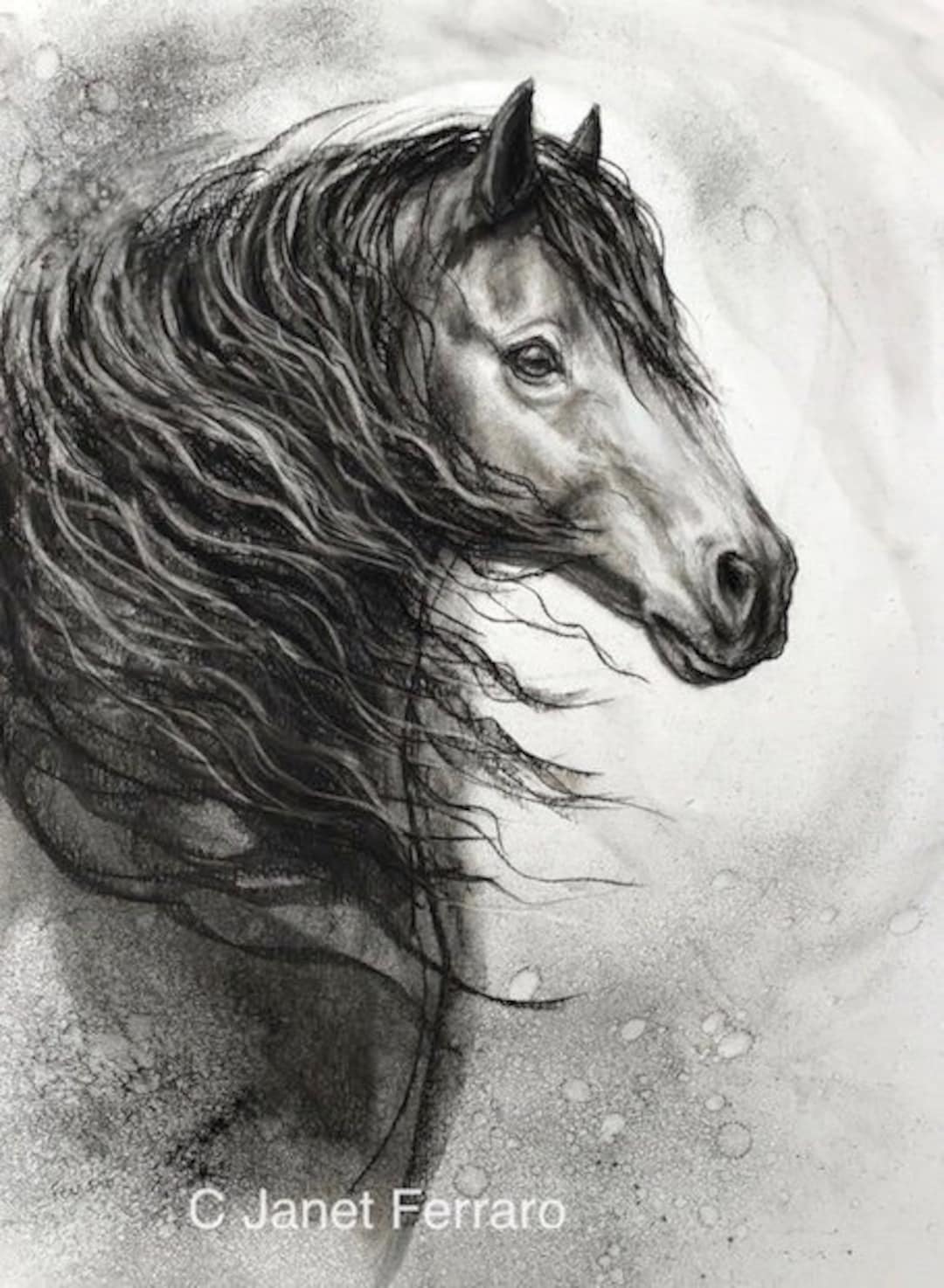 Original Charcoalhorse Charcoal Drawing'equine Divine 3' Etsy