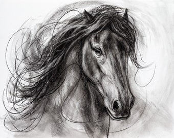 Original Horse Art-Charcoal Drawing-'Thinking Outside The Lines''