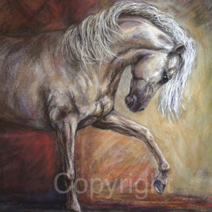 Horse Canvas Print of &#39;Champagne Dancer&quot; On Canvas or paper