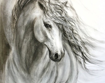 Charcoal horse drawing of 'Equine Sublime' giclee print on canvas or paper