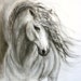 see more listings in the Horse giclee Prints section