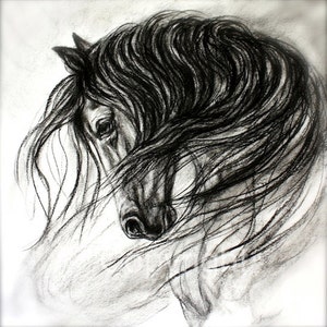 Horse Art Print on paper or canvas of Horse Drawing- 'Mane Dance'