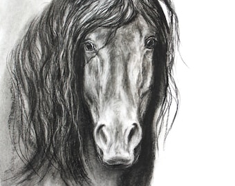 Dibujo original a carboncillo enmarcado de una obra de arte ecuestre: 'Amazing Grace'