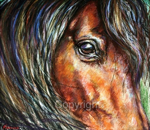 Horse Eye Drawing original Horse Painting horse Art gaze Etsy