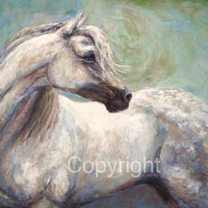 Arabian Horse Painting On Canvas or paper of &quot;Hindsight&quot;