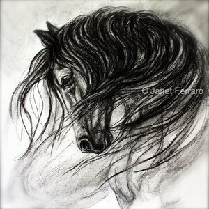 Horse Wall Art-Horse Decor of &quot;Mane Dance&quot; giclee print