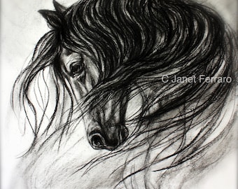 Horse Wall Art-Horse Decor of "Mane Dance" giclee print