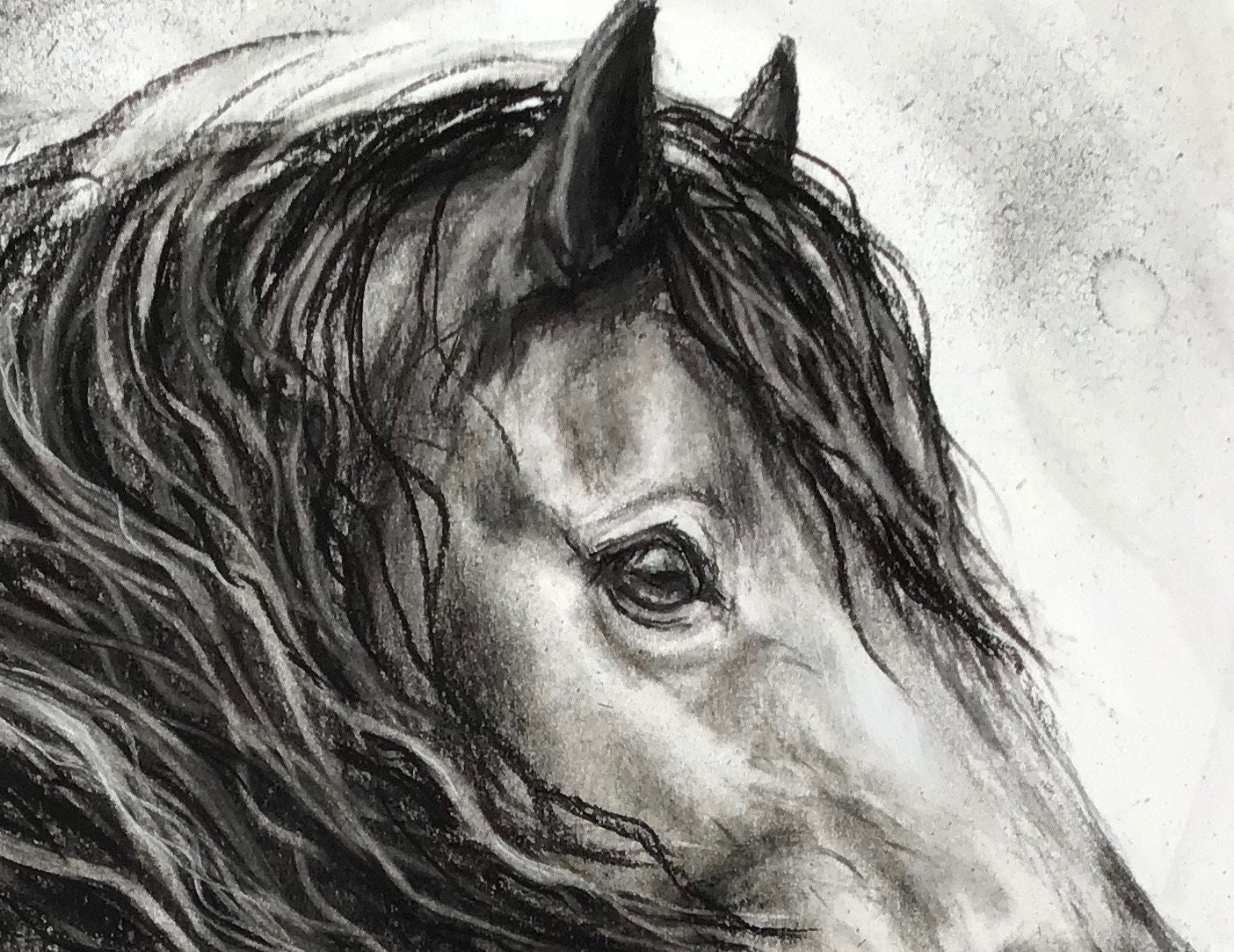 Charcoal drawing: Dark beauty., My first realistic horse po…