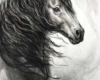 Dibujo original de un caballo al carbón: 'Equine Divine 3'