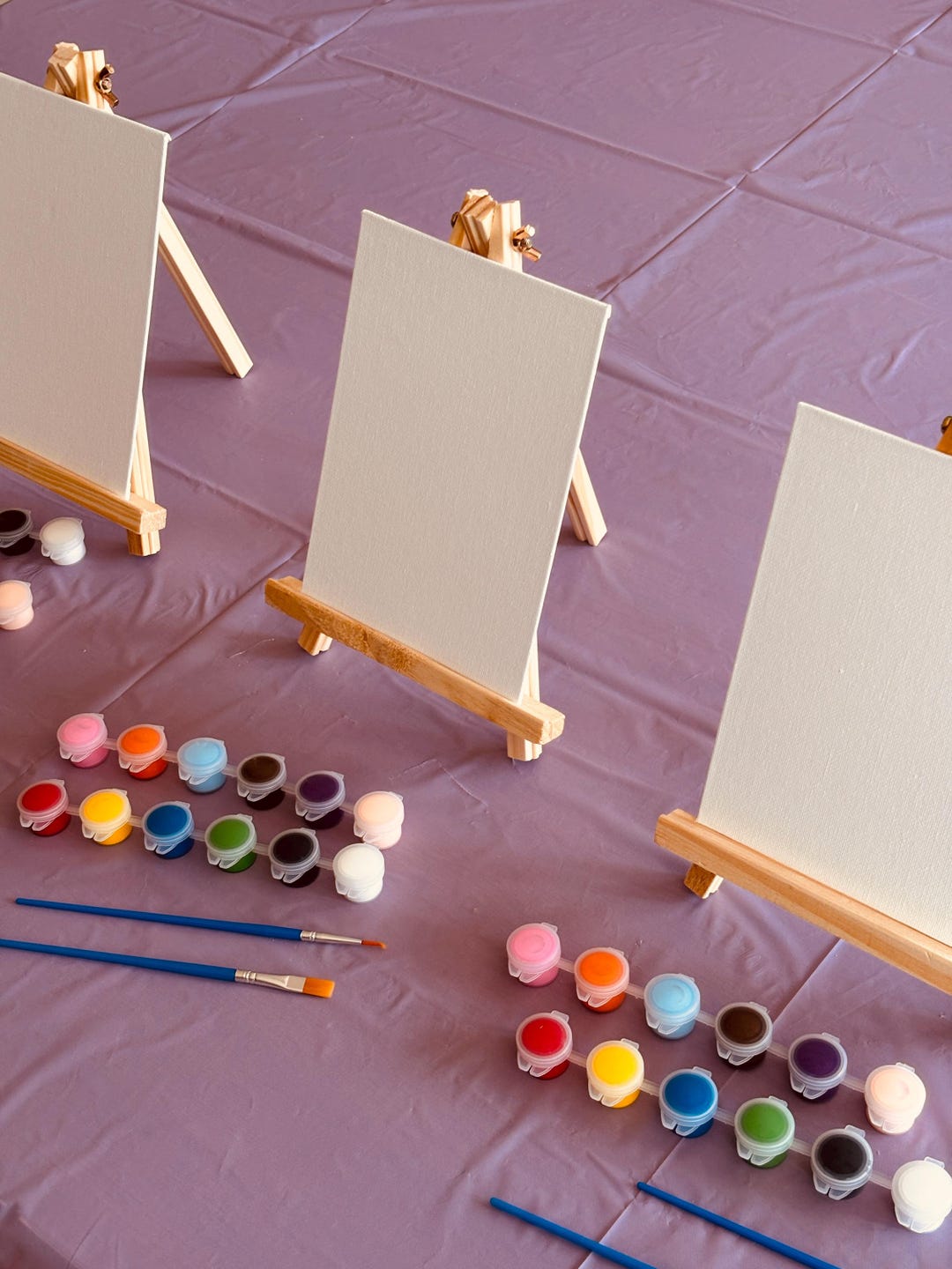 Kids Birthday Paint Party Kit | DIY Canvas Art Activity | Children's ...