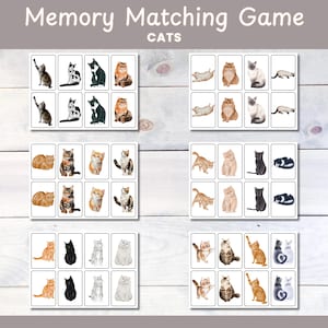 Juego de memoria de gatos, tarjetas de memoria, tarjetas didácticas para niños, actividad de emparejamiento, emparejamiento preescolar, tarjetas didácticas para niños, tarjetas de clasificación