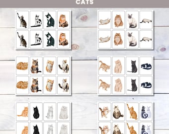 Katzen Memory-Matching-Spiel: Druckbare Flash Karten für Kinder (digitaler Download)