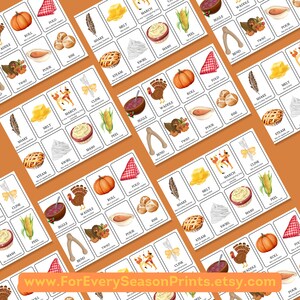 May include: Thanksgiving-themed flashcards with illustrations of food and activities. Each card features a word and a corresponding image, such as "Roll" with a pumpkin and "Mash" with mashed potatoes. The website address www.ForEverySeasonPrints.etsy.com is visible.