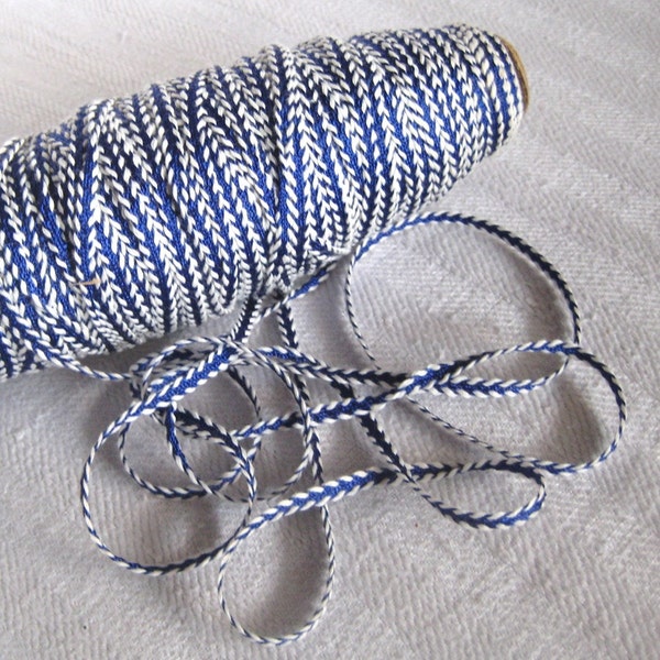 Shimmering Blue Vintage Rayon Cotton Braid Ribbon Trim