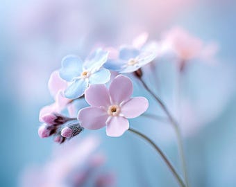 Pastel Forget-Me-Not Flowers – Soft Blue Pink Bloom Printable Wall Art Digital Download