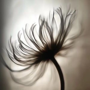 Minimalist Black and White Flower Wall Art Print, Modern Botanical Digital Download, Elegant Monochrome Nature Artwork for Home Decor