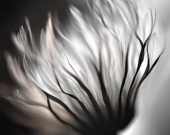 Minimalist Black and White Flower Print: Abstract Botanical Art (Digital Download)