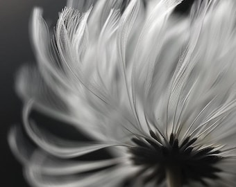 Black and White Dandelion Wall Art - Macro Photography Digital Print - Minimalist Nature Decor