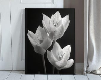 Minimalist Tulip Photography Print: Black and White Floral Wall Art (Digital Download)