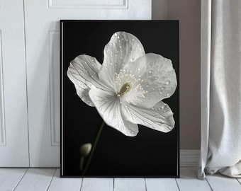Dewy Flower Black and White Photography Print: Minimalist Home Decor (Digital Download)