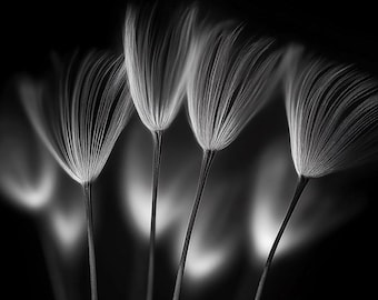 Minimalist Dandelion Seed Head Art: Black and White Botanical Print (Digital Download)