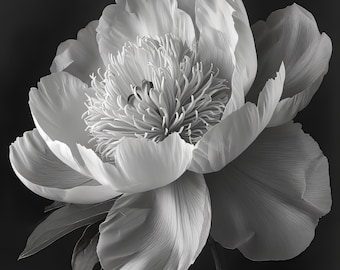 Elegant Peony Flower Print: Black and White Botanical Art (Digital Download)