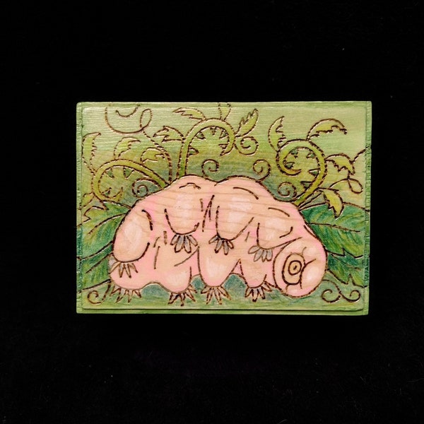 Tardigrade wood burned box: a bit of zoological water bear home decor for cards, dice, trinkets