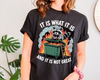 Comfort Colors® It Is What It Is Shirt, Dumpster Fire Funny Tee, Raccoon Mental Health Shirt, Chaos Comfort Tee, Retro Sarcastic Shirt