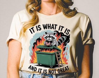 It Is What It Is Raccoon Shirt, Dumpster Fire Funny Shirt, Mental Health Awareness Tee, Humor Gift Shirt, Chaos Shirt, Retro Animal Shirt